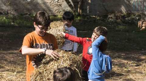 Cura della terra, riciclo e lezioni all'aria aperta: a Palombaio c' "l'asilo nel bosco"